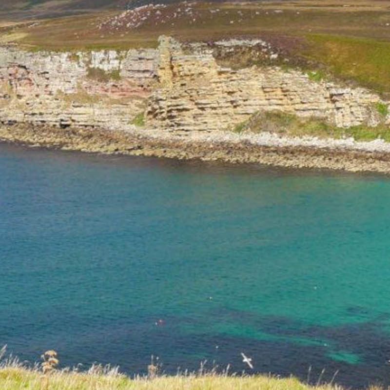 The rugged Caithness coastline