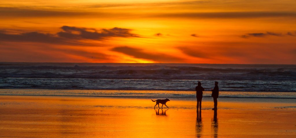 A sunset beach with two people walking their dog