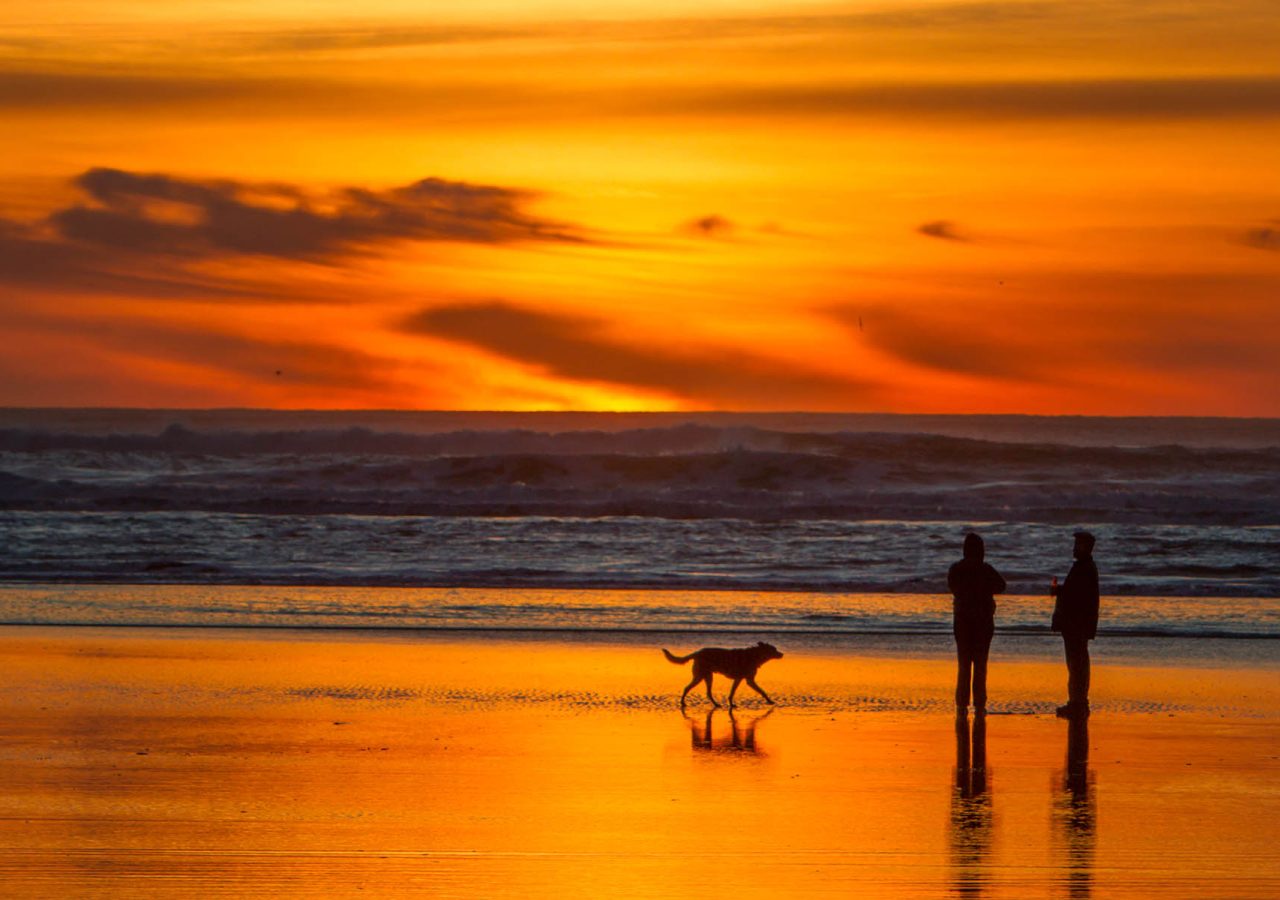 A sunset beach with two people walking their dog