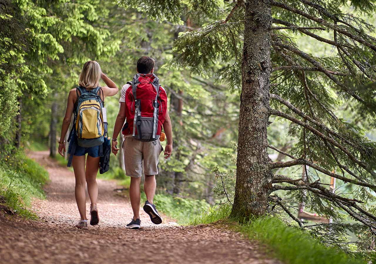 Two people walking through a forest