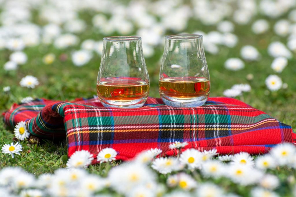 Two drams of whisky sitting on tartan