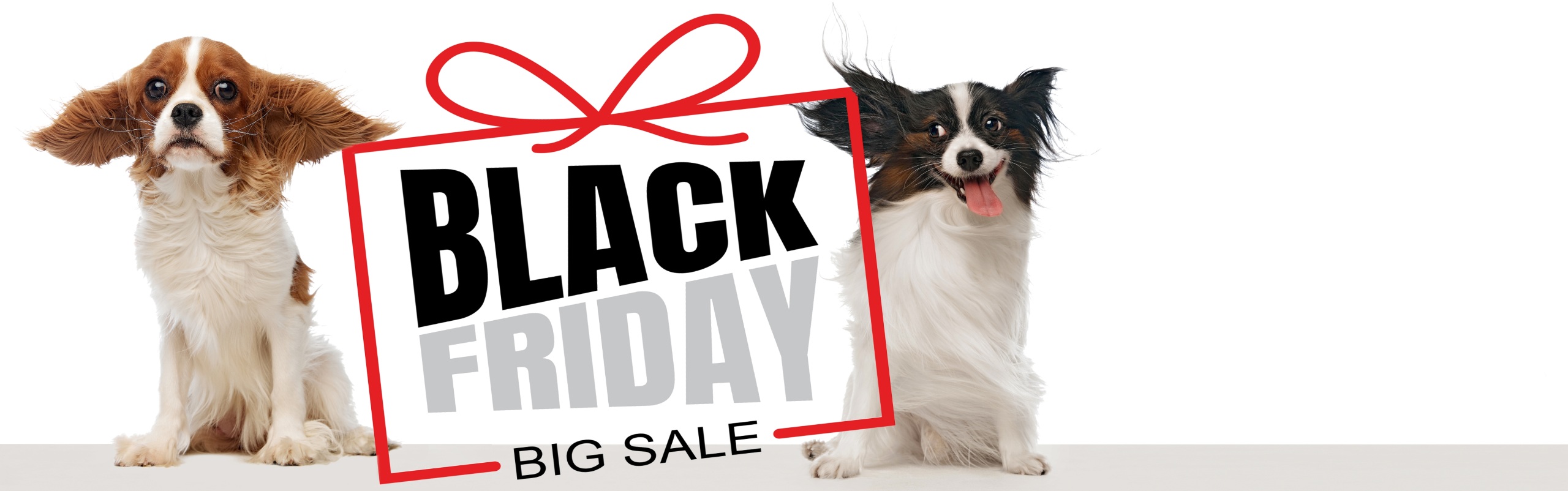 Black Friday sale banner with two dogs sitting on either side of the words.