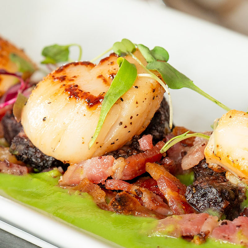 A plate of scallops at the Ulbster Arms Hotel