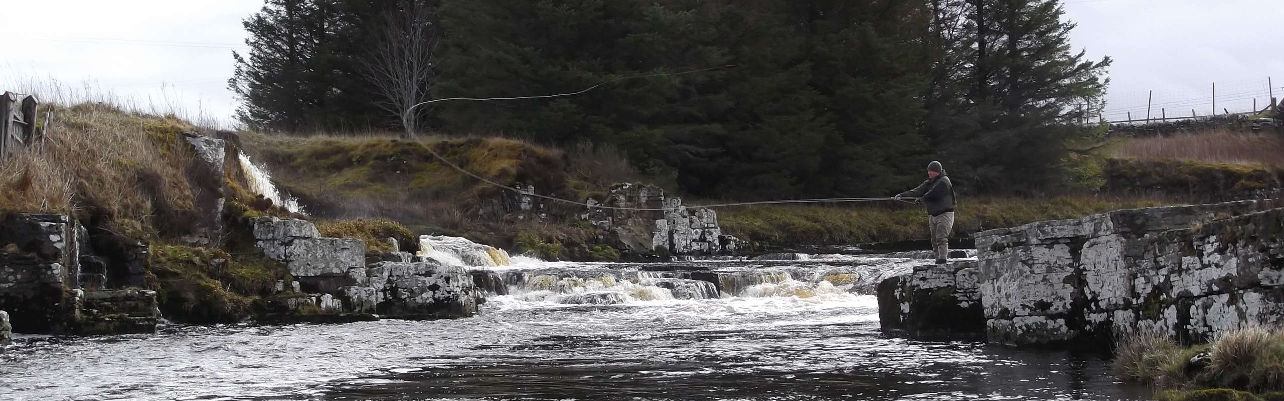 Man fishing on the River Thurso in Scotland