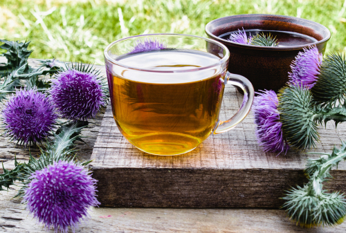 Thistle tea with thistles set around the cup of tea.